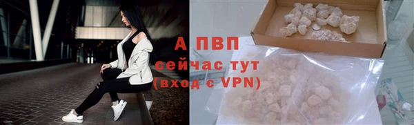 мяу мяу мука Михайлов