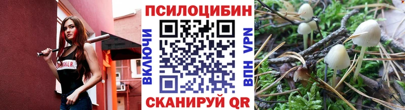 наркота  ОМГ ОМГ зеркало  Галлюциногенные грибы Psilocybine cubensis  Ливны 