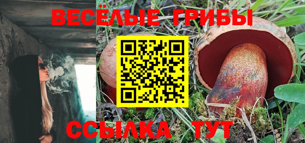 Ливны  Галлюциногенные грибы ЛСД  Вход с VPN 