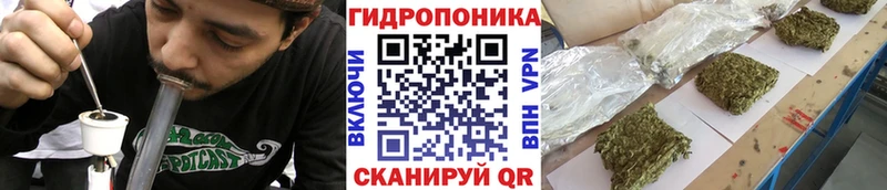 где купить наркоту  mega зеркало  Бошки Шишки сатива  Ливны 